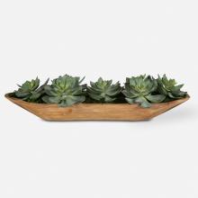  60205 - Yuma Succulent Centerpiece