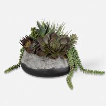  60214 - Yuma Succulent Centerpiece