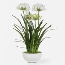  60221 - Uttermost Purity Agapanthus Centerpiece