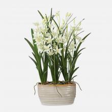  60227 - Uttermost Ariana Orchid Planter