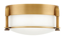  3230HB - Extra Small Flush Mount