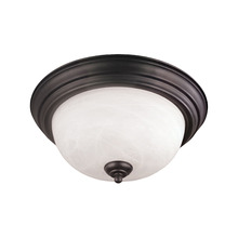  SL869263 - FLUSH MOUNT